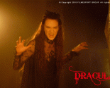 dracad (4)